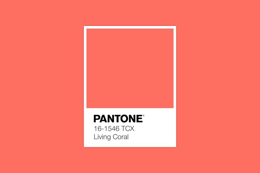 Pantone kolor roku 2019