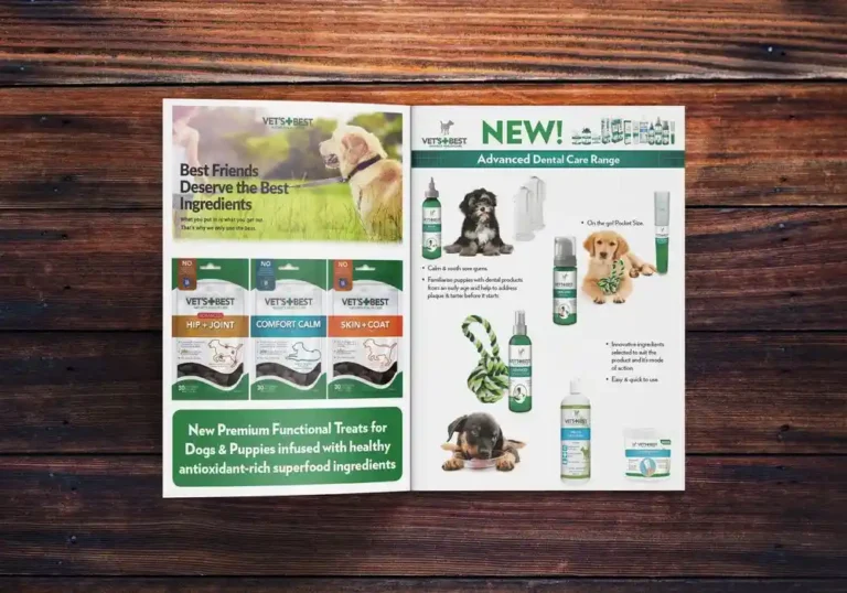 Katalogi projekt i druk