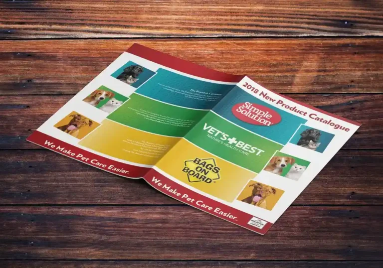 Katalogi projekt i druk